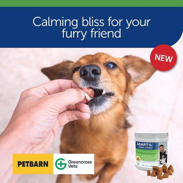 A close-up shot of a hand feeding a treat to a dog, highlighting the product packaging alongside the brand's logo.